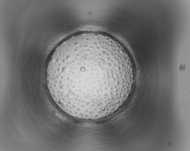 X0000111180529200907011034