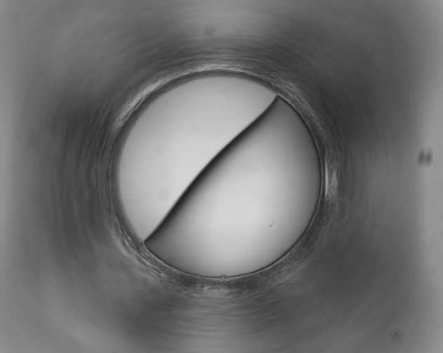 X0000111180531200907011034