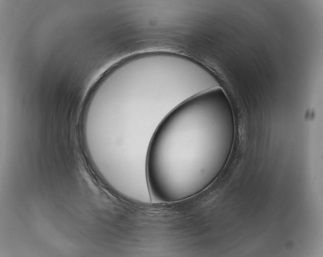 X0000111180532200907011034