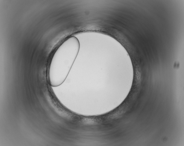 X0000111180534200907011034