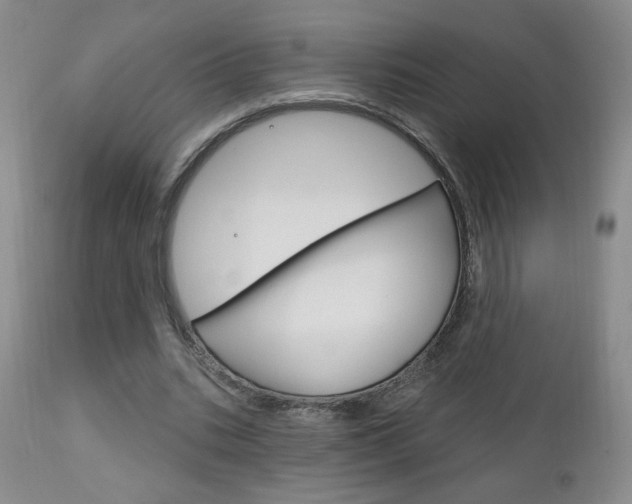 X0000111180535200907011034