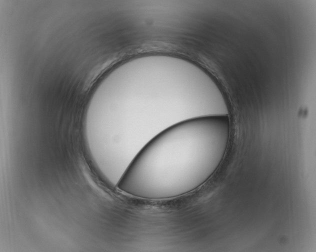 X0000111180538200907011034