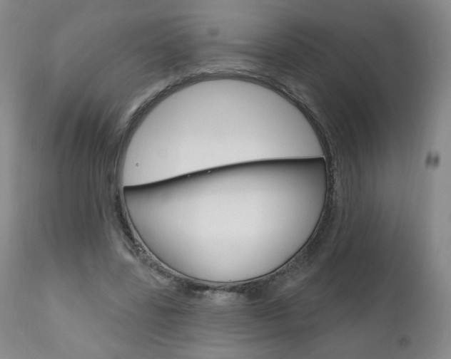 X0000111180539200907011034