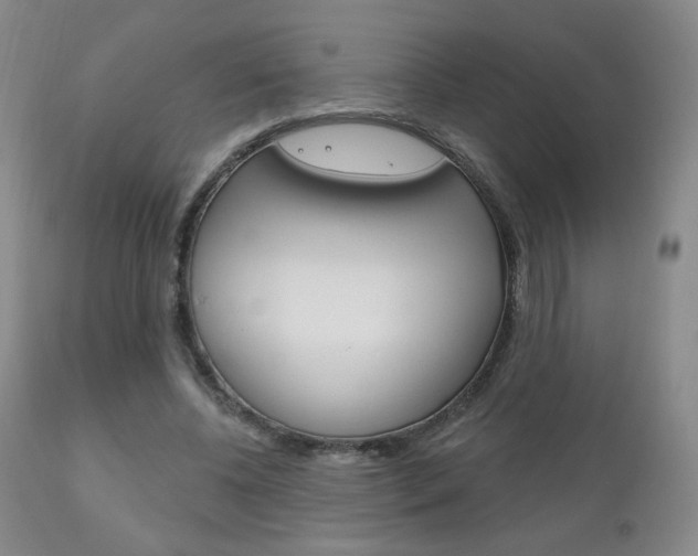 X0000111180540200907011034