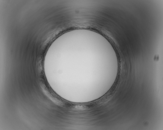 X0000111180541200907011034