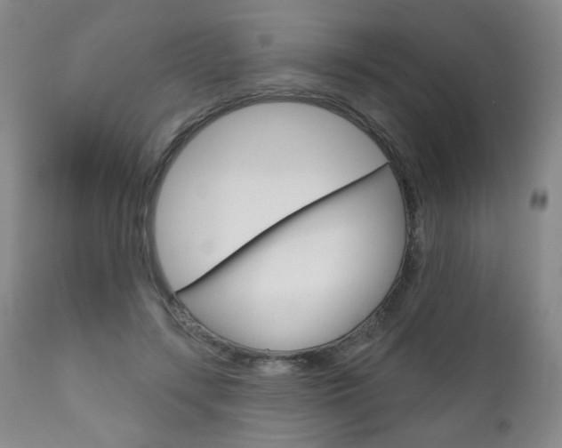 X0000111180547200907011034