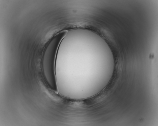 X0000111180548200907011034