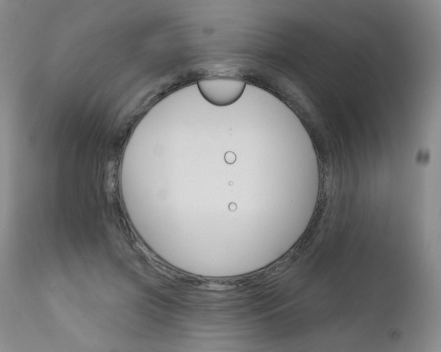 X0000111180549200907011034