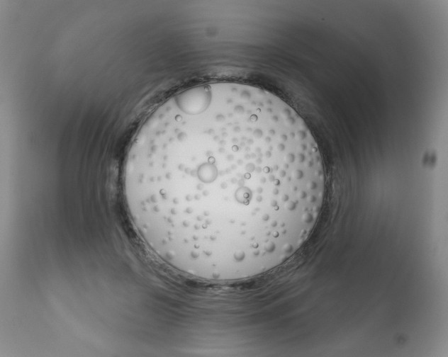 X0000111180550200907011034