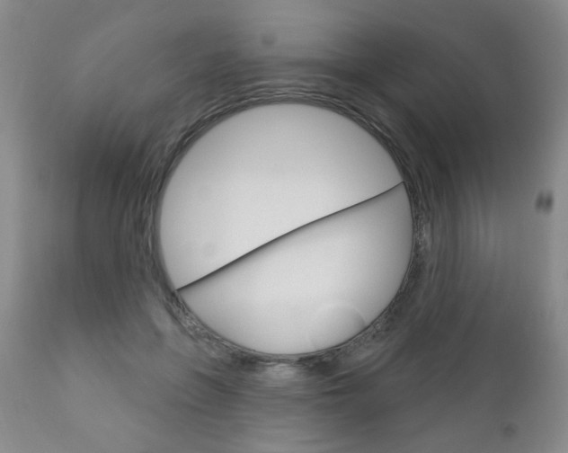 X0000111180551200907011034