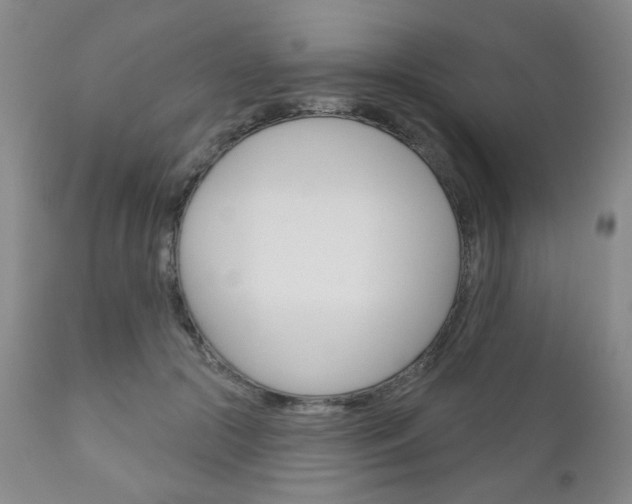 X0000111180553200907011034