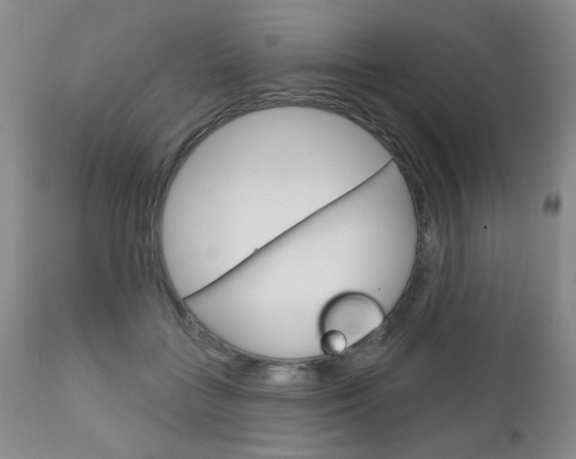 X0000111180555200907011035