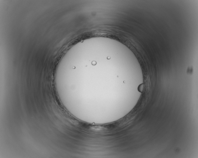 X0000111180557200907011035