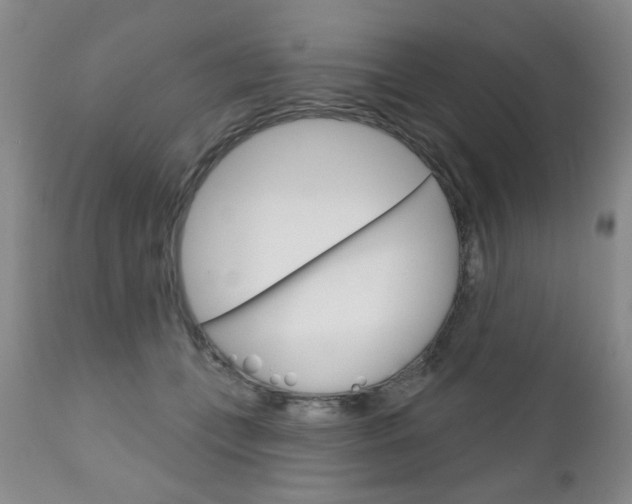 X0000111180559200907011035