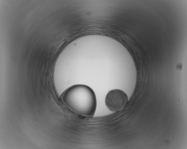 X0000111180560200907011035