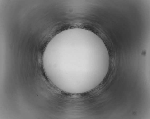 X0000111180561200907011035