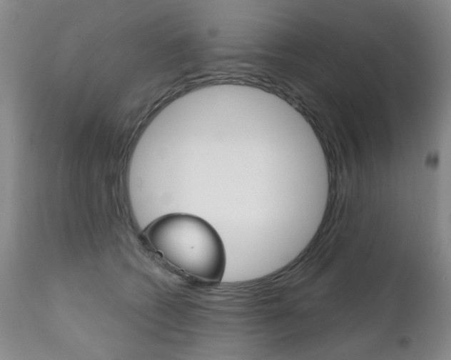 X0000111180562200907011035