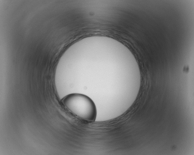 X0000111180564200907011035