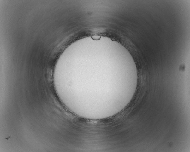 X0000111180565200907011035