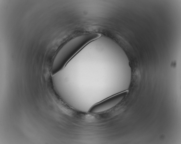 X0000111180566200907011035