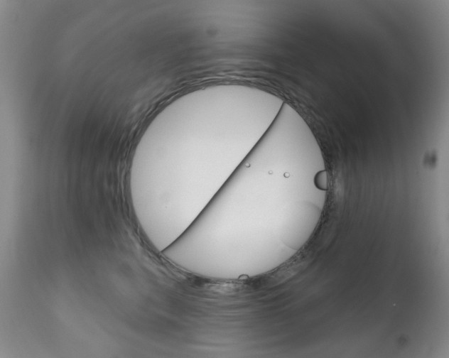 X0000111180567200907011035