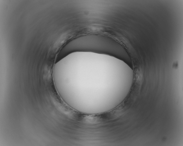 X0000111180568200907011035