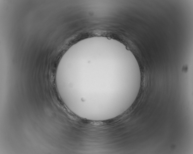 X0000111180569200907011035