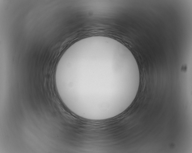 X0000111180570200907011035