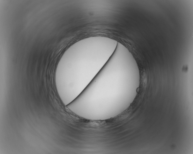 X0000111180571200907011035
