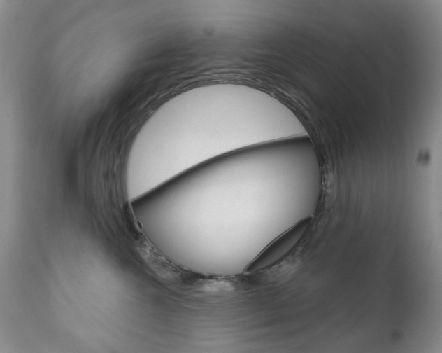 X0000111180572200907011035