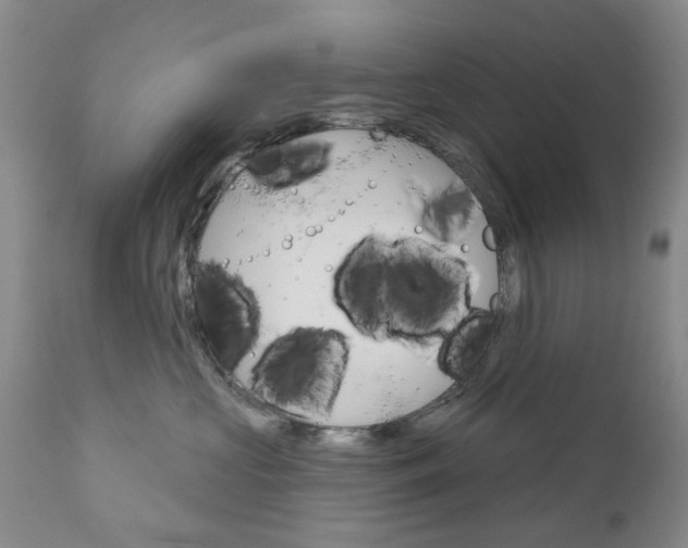 X0000111180573200907011035