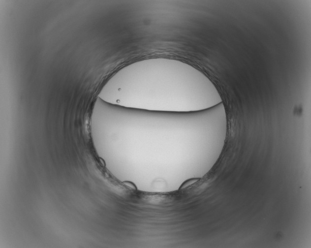X0000111180575200907011035