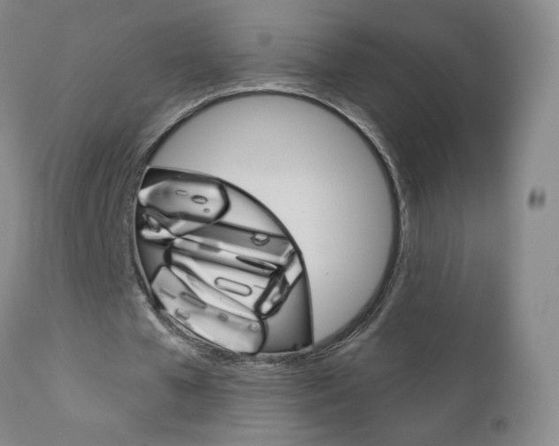 X0000111180577200907011034