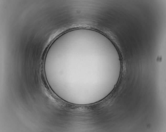 X0000111180578200907011034