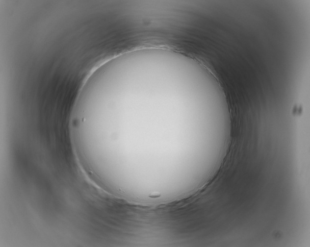 X0000111180579200907011034