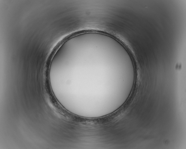 X0000111180580200907011034