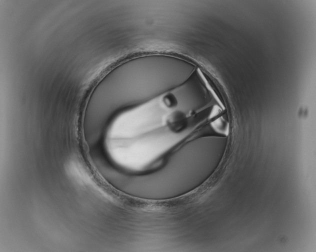 X0000111180581200907011034