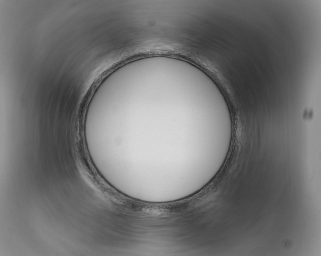 X0000111180582200907011034