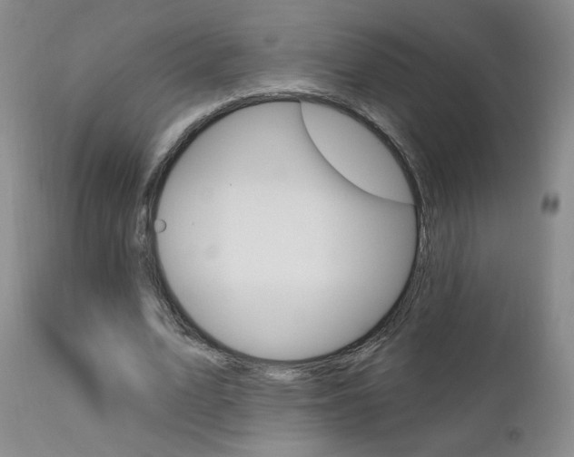 X0000111180583200907011034