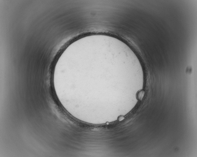 X0000111180584200907011034