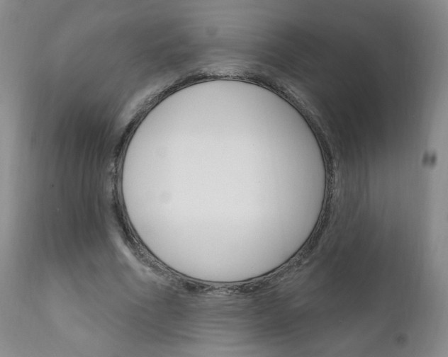 X0000111180586200907011034