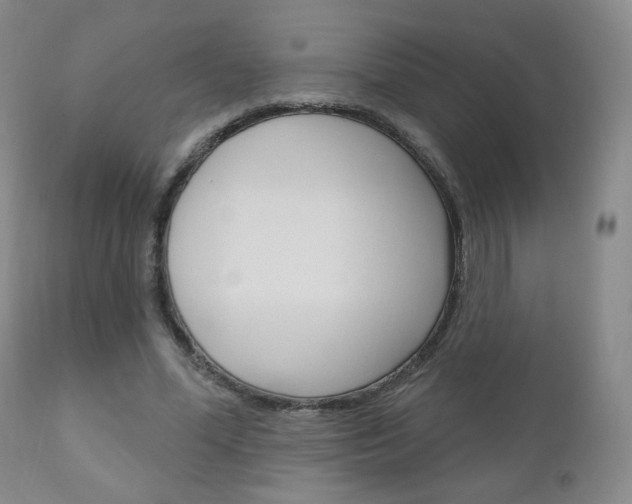X0000111180588200907011034