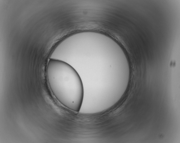 X0000111180589200907011034