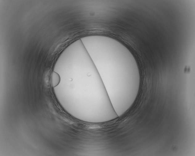 X0000111180595200907011034