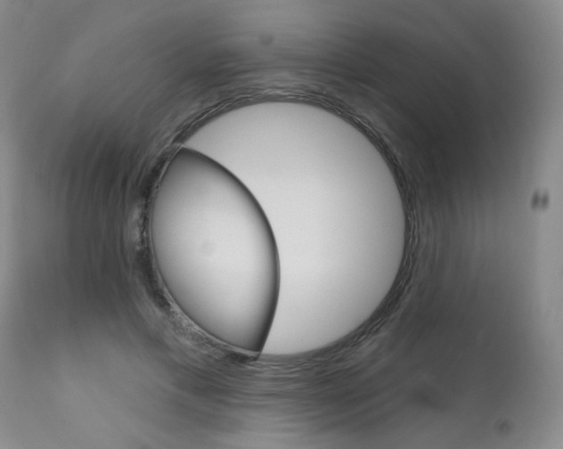 X0000111180597200907011034