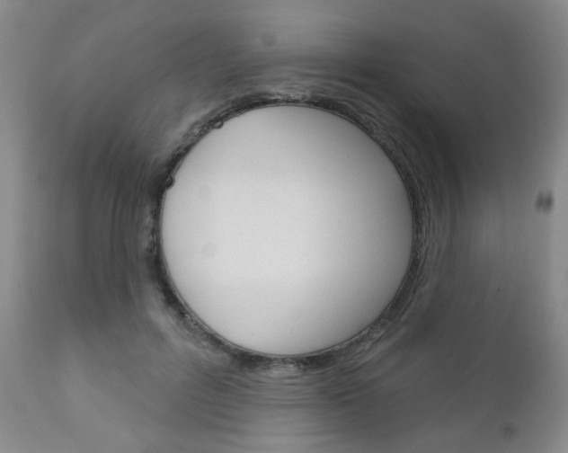 X0000111180600200907011034