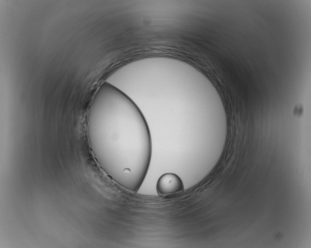 X0000111180601200907011034