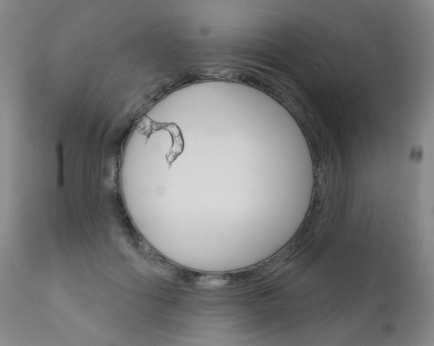 X0000111180602200907011034