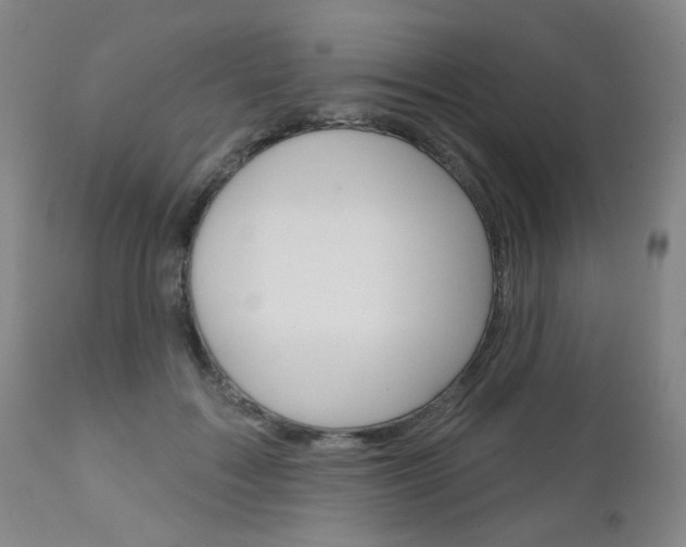 X0000111180603200907011034
