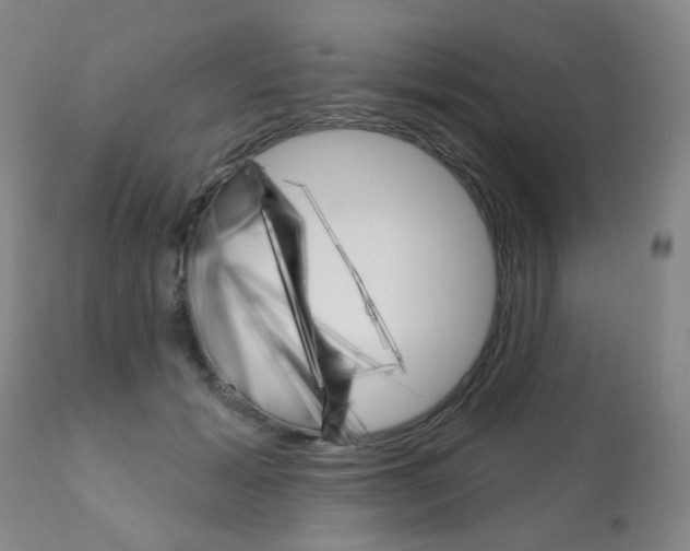 X0000111180605200907011034